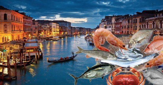 rio novo Venice Profil officiel